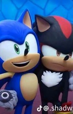 Sonic y Shadow Prime con la Araña M...