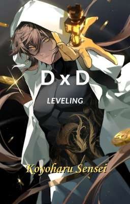 dxd Leveling