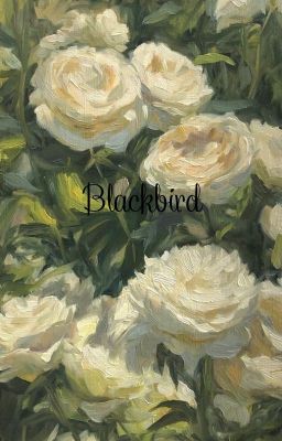 Blackbird  ∿ Adaptación