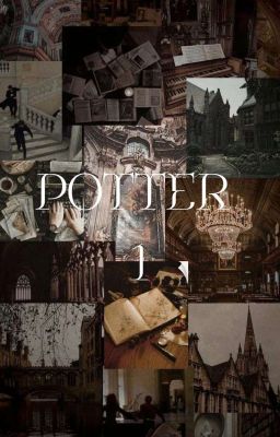 Potter 1