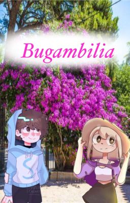 Bugambilia