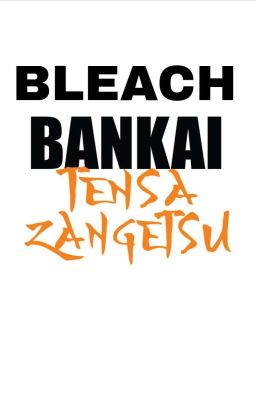 Bleach : Bankai Tensa Zangetsu