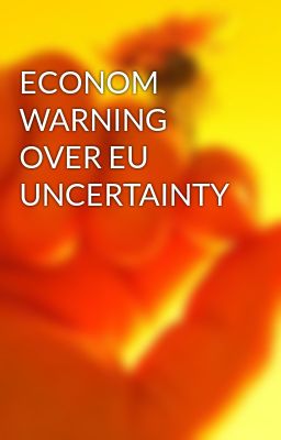 Econom Warning Over eu Uncertainty