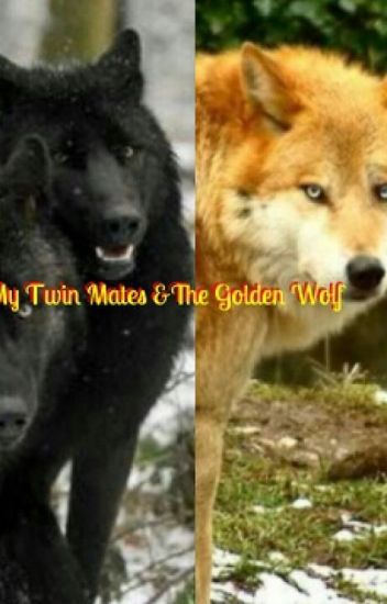 My Twin Mates & The Golden Wolf