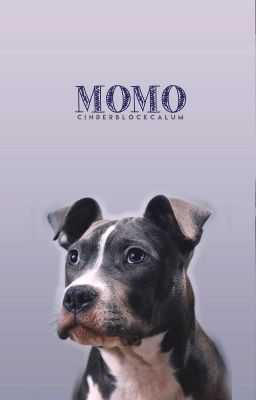 Momo ➳ Calum Hood
