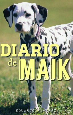 Diario De Maik
