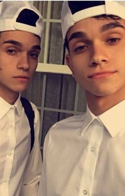 Wrong Number?-dobre Twins