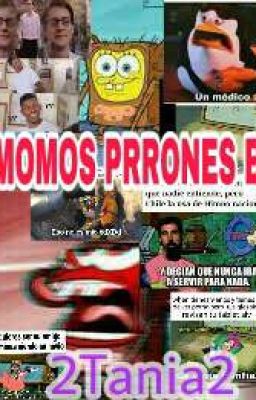 Momos Prrones bv