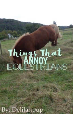 Things That Annoy Equestrians
