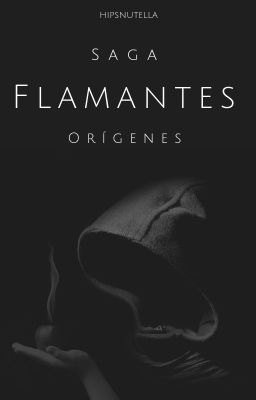 Flamantes - Orígenes (en Construcci...