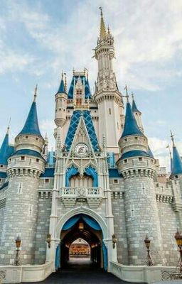 Visita a Disney World Resort en Orl...